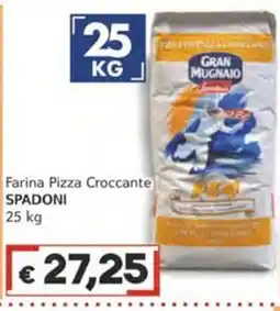 Italy Cash Farina Pizza Croccante Spadoni offerta