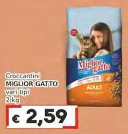 Italy Cash Crocchettini Miglior Gatto offerta