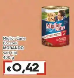 Italy Cash Miglior Cane Bocconi Morando offerta