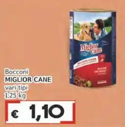 Italy Cash Bocconi Miglior Cane offerta