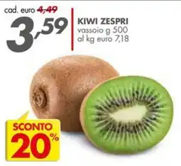 Italmark Kiwi Zespri offerta