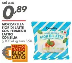 Italmark Mozzarella fior di latte consilia offerta