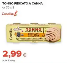 Tigre Tonno pescato a canna Consilia offerta