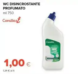 Tigre WC disincrostante profumato Consilia offerta