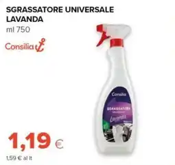 Tigre Sgrassatore universale Lavanda Consilia offerta