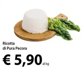 Ricotta di Pura Pecora