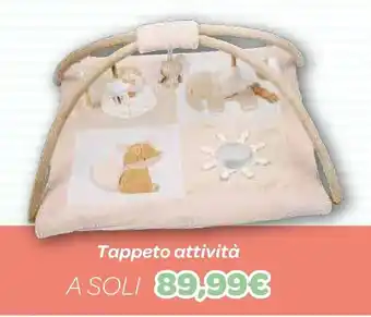 Tappeto attività
