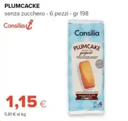 Tigre Plumcake yogurt Consilia offerta