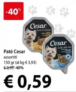 Cadoro Patè Cesar assortiti offerta