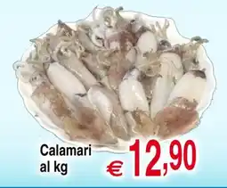 Centro Oceano Calamari offerta