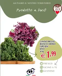 Centro Oceano Cavolo Riccio Bianco e Rosso Cipo Jesi offerta