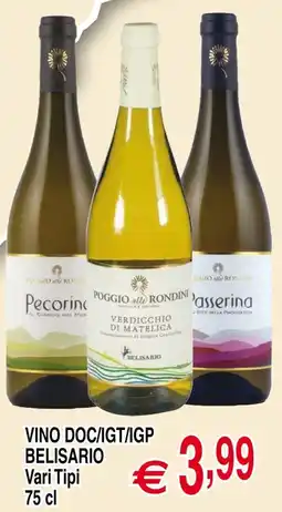 Centro Oceano Vino DOC/IGT/IGP Belisario offerta