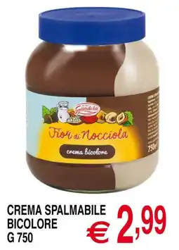 Centro Oceano Fior di Nocciola crema bicolore Gandola offerta