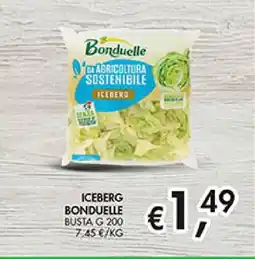 Coal Iceberg Bonduelle offerta