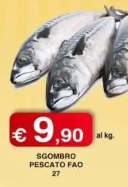 Orsini Market Sgombro pescato fao offerta