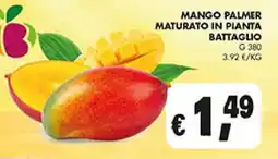Coal Mango Palmer offerta