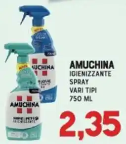 Gran Risparmio Amuchina igienizzante spray offerta