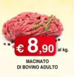 Orsini Market Macinato di bovino adulto offerta