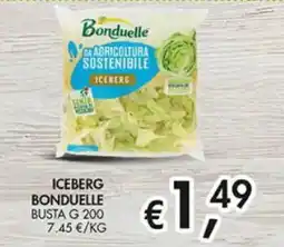 Superstore Coal Iceberg Bonduelle offerta