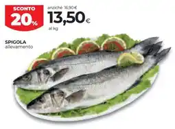 Unicoop Etruria Spigola allevamento offerta