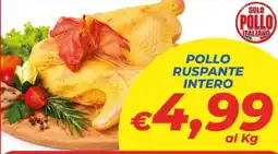 DEM Pollo ruspante intero offerta