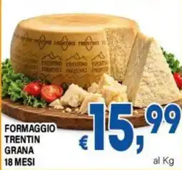 DEM Formaggio Trentin Grana 18 Mesi offerta