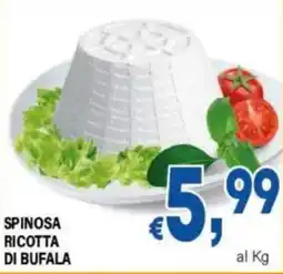 DEM Spinosa ricotta di bufala offerta