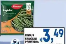 DEM Findus Fagiolini Primavera offerta