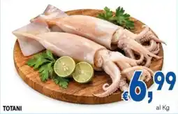 DEM Squid TOTANI offerta