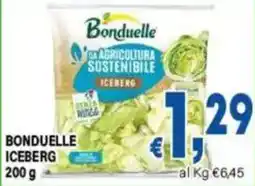 DEM Bonduelle Iceberg offerta