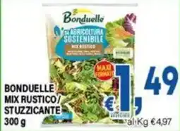 DEM Bonduelle mix rustico/stuzzicante offerta