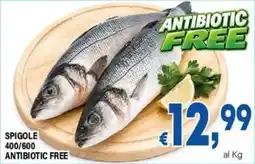DEM Spigole antibiotic free offerta