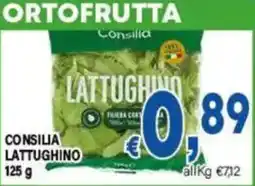 DEM Consilia Lattughino offerta