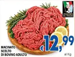 DEM Macinato scelto di bovino adulto offerta