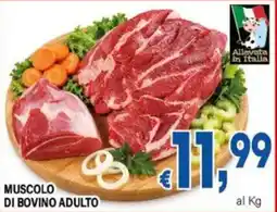 DEM Muscolo di bovino adulto offerta