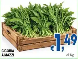 DEM Cicoria a mazzi offerta