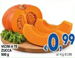 DEM Zucca offerta