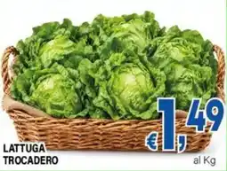 DEM Lattuga Trocadero offerta