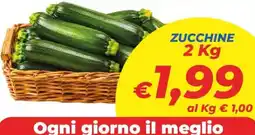 DEM Zucchine offerta