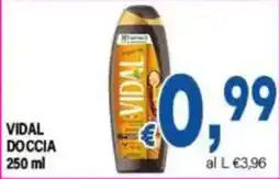 DEM Vidal Doccia offerta