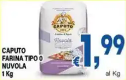 DEM Caputo farina tipo 0 nuvola offerta