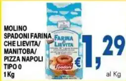 DEM Farina Lievita Molino Spadoni offerta