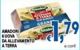 DEM Amadori 6 uova da allevamento a terra offerta