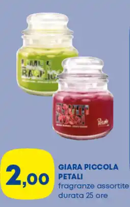 Panorama TiBi Giara piccola petali offerta