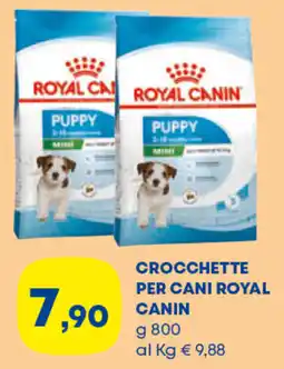 Panorama TiBi Crocchette per cani Royal Canin offerta