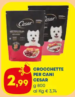 Panorama TiBi Crocchette per cani Cesar offerta