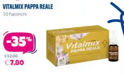 Panorama TiBi Vitalmix Pappa Reale offerta