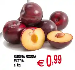 Centro Oceano Susina Rossa Extra offerta