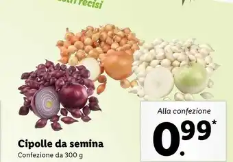 Lidl Cipolle da semina offerta