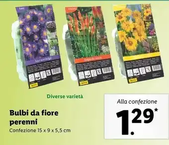 Lidl Bulbi da fiore perenni offerta
